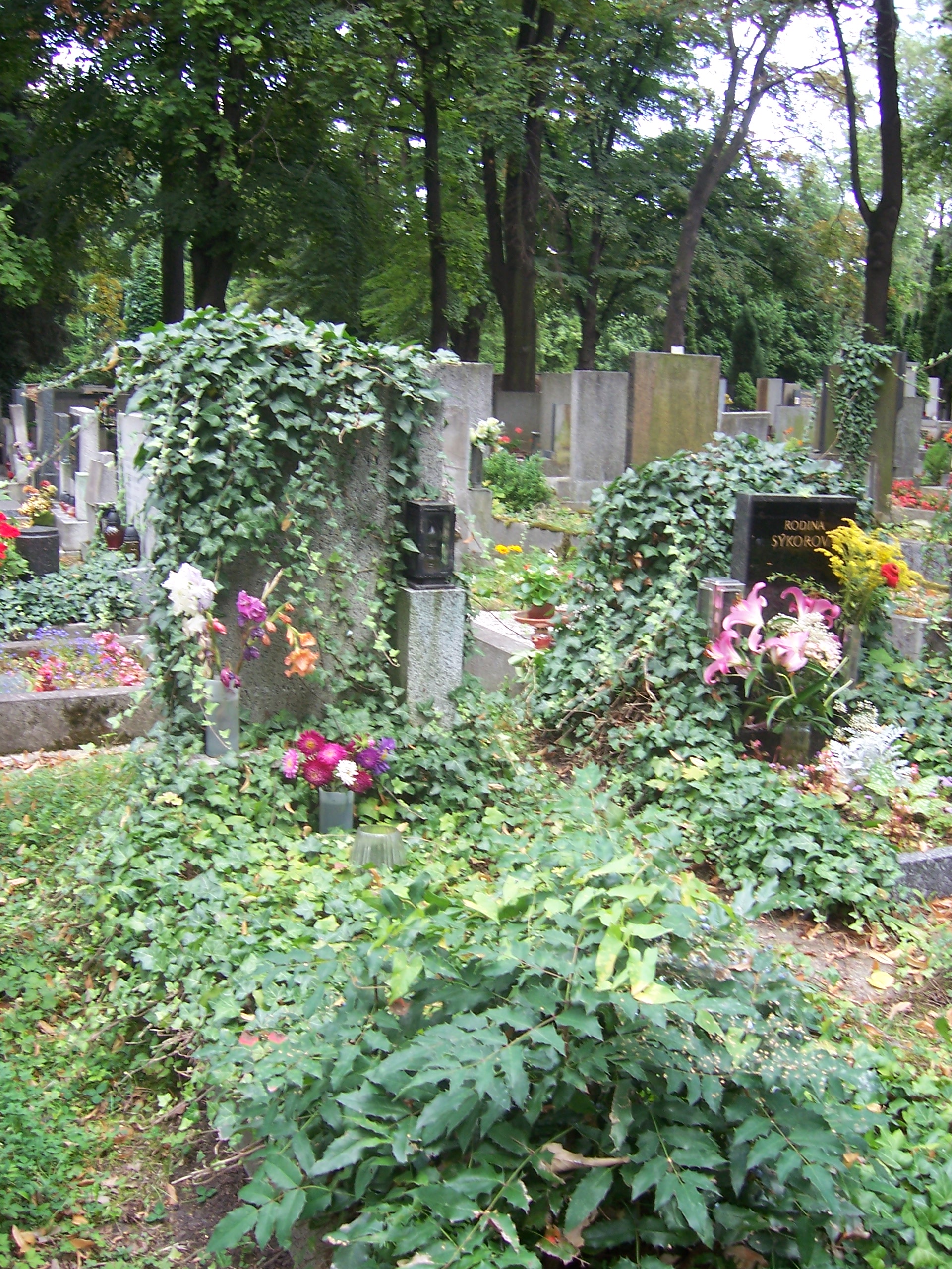 100_2506.JPG