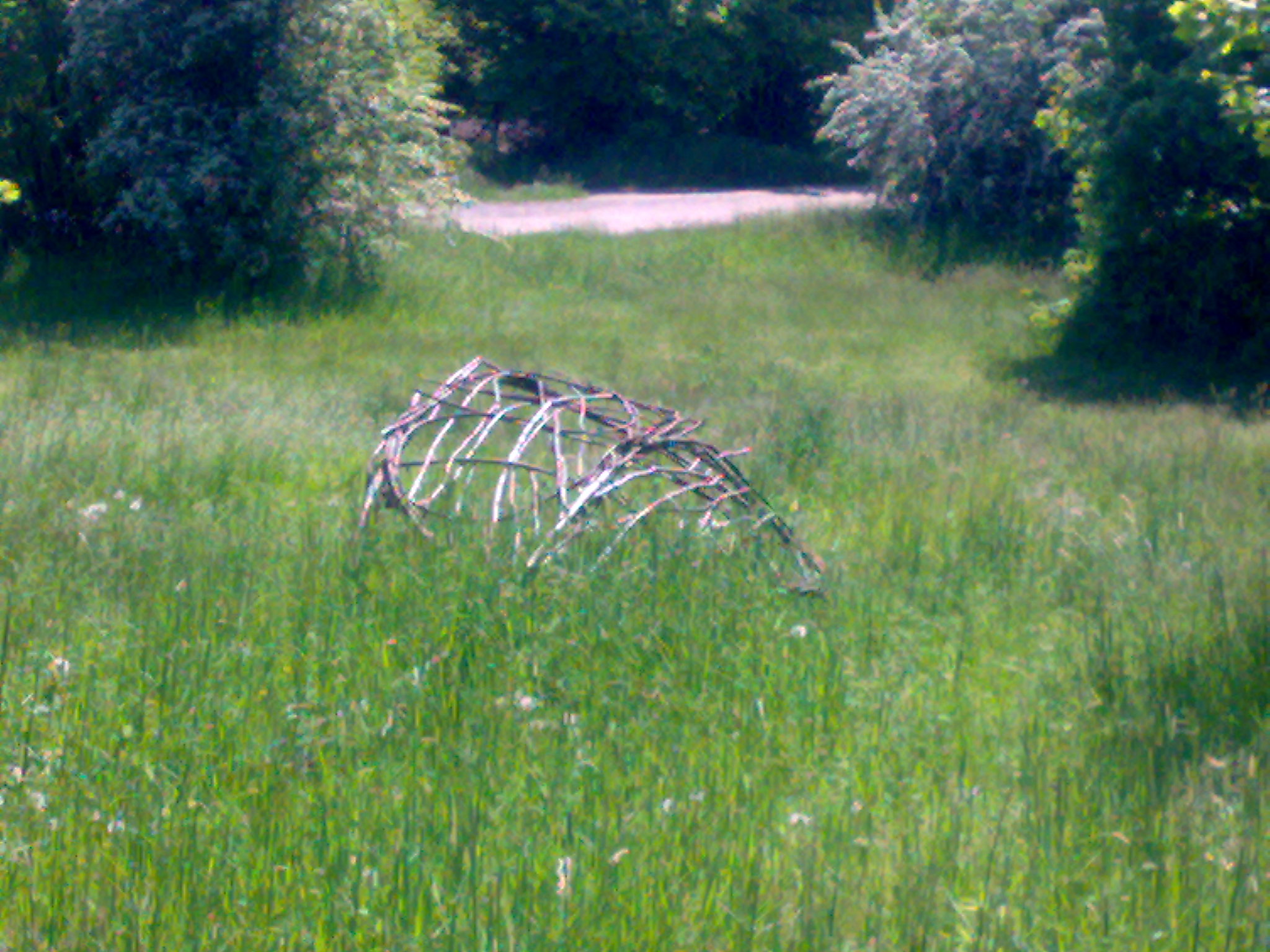 11052008019.jpg
