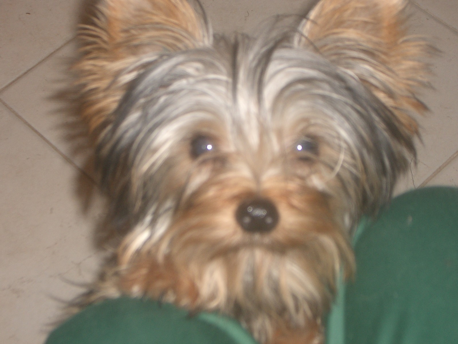 080527000055_725.jpg